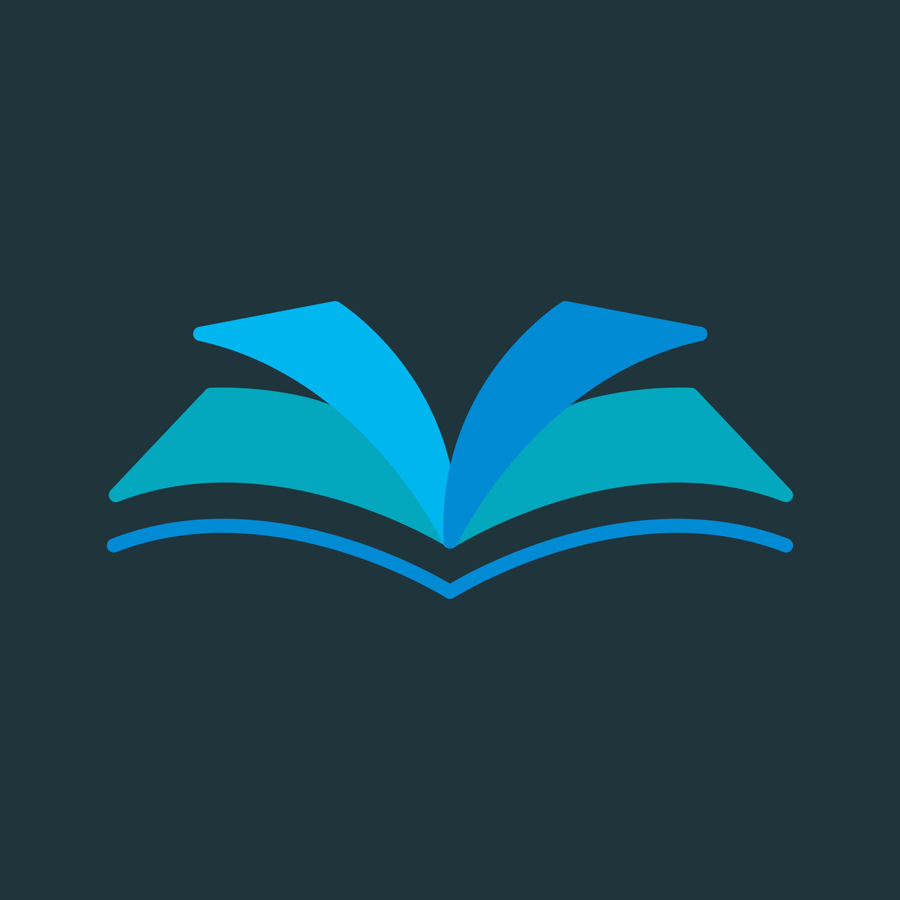 Chapter Publishing